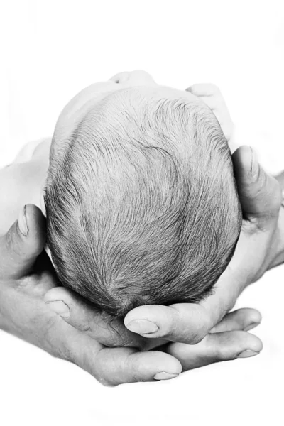 Nyfødt baby i fars hånd – stockfoto