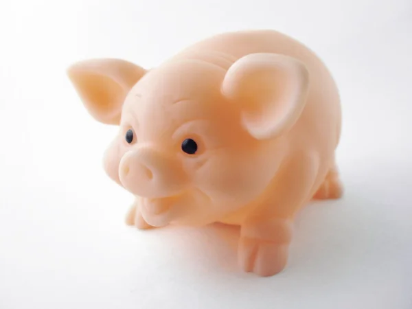 Little Piggy — Stock Photo, Image