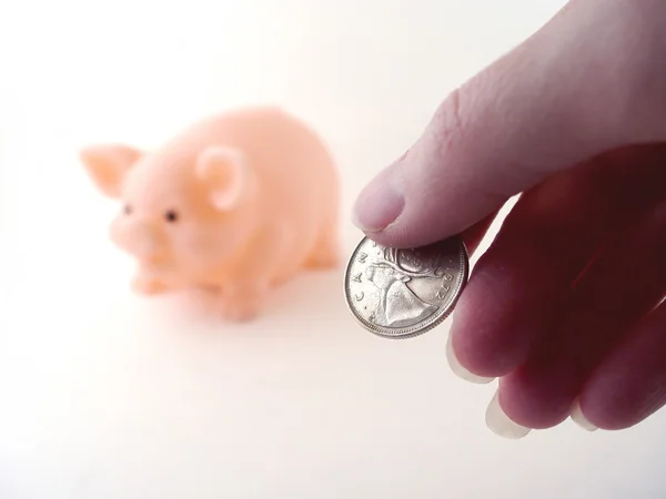 Geld en een piggy bank — Stockfoto