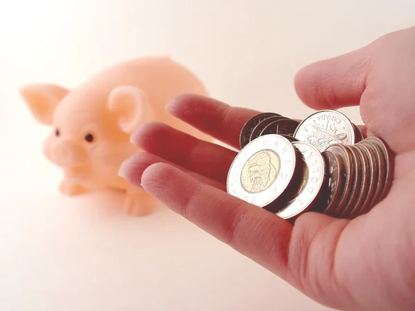 Segurando dinheiro e um Piggy Bank — Fotografia de Stock
