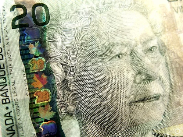 20 달러 짜리 지폐의 근접 촬영 — 스톡 사진