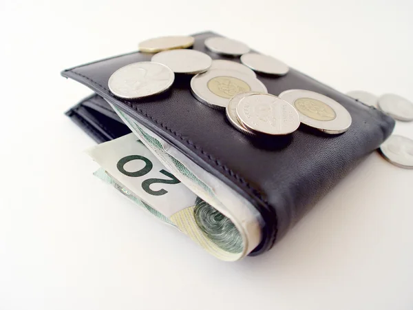 Paralar ile cüzdan — Stok fotoğraf