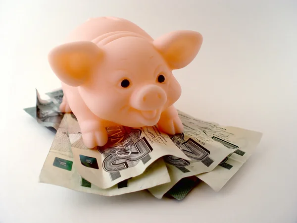 Schwein mit Geld — Stockfoto