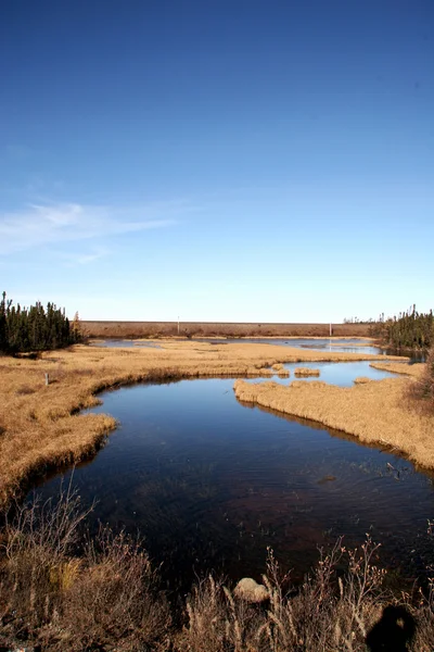 Labrador krajobraz — Zdjęcie stockowe
