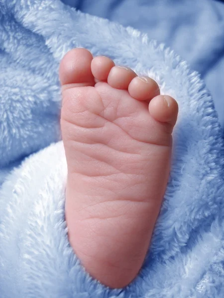 Little Baby Boys Foot — Stock Photo, Image