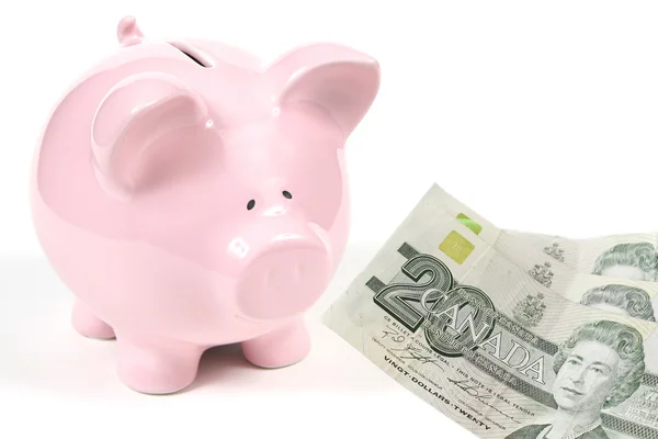 Piggy bank rosa com dinheiro — Fotografia de Stock