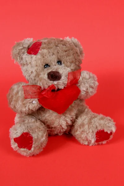 Teddy Bear on Red Background — Stock Photo, Image