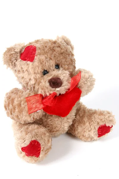 Brown Teddy Bear on White background — Stock Photo, Image