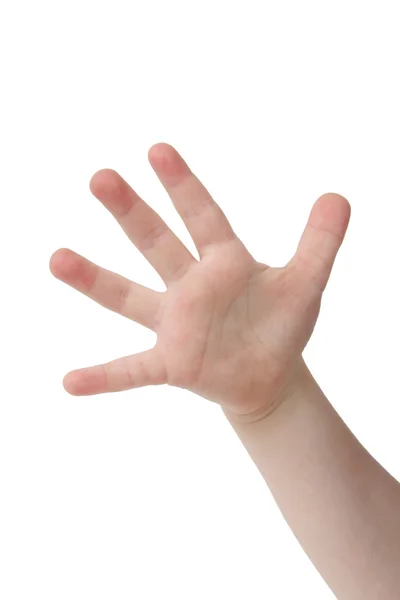 Пять пальцев — стоковое фото