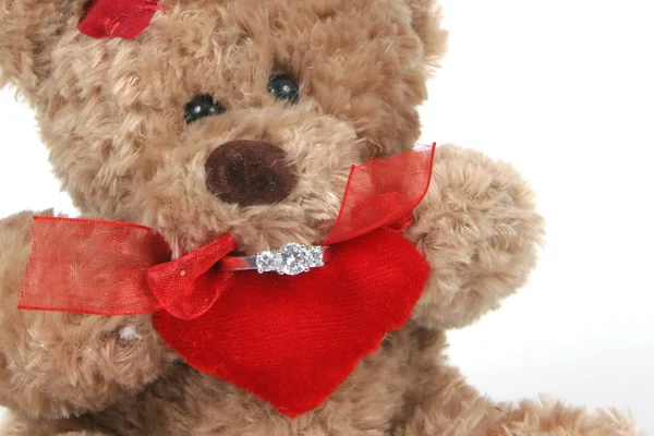 Valetines Teddy Bear with Ring — Stock Photo, Image