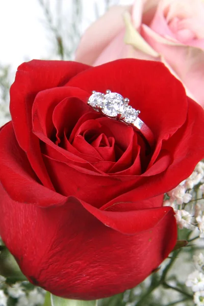 Anillo de boda en Rose, ¿quieres casarte conmigo? ? — Foto de Stock