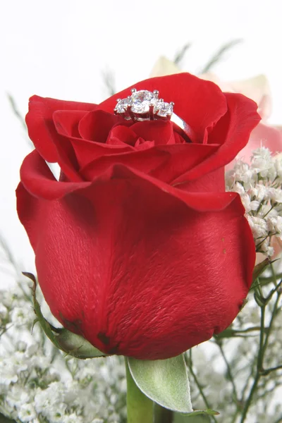 Anello di nozze a Rose, vuoi sposarmi ? — Foto Stock