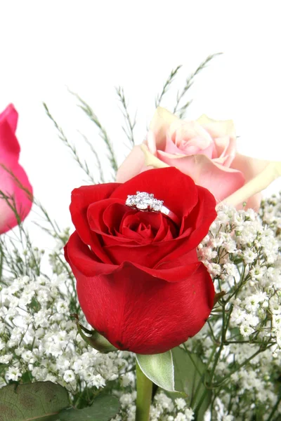 Wedding Ring in Rose, Will you marry me? — Stock Photo, Image