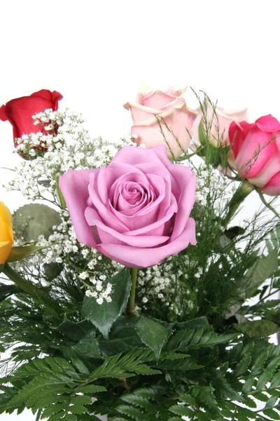 Bunch Of Roses — Stock Photo, Image