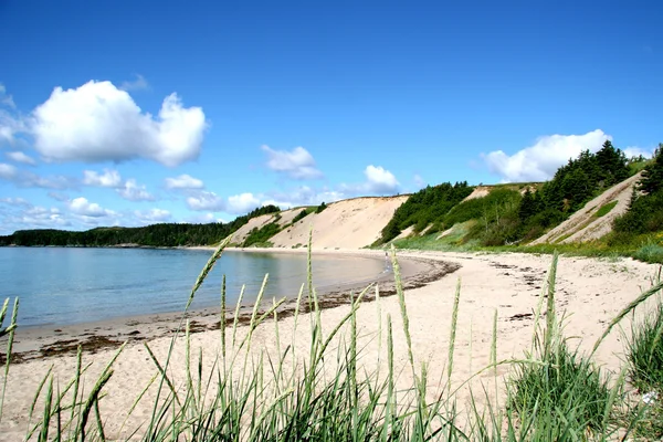 Piaszczysta plaża w wiejskich Nowej Fundlandii — Zdjęcie stockowe