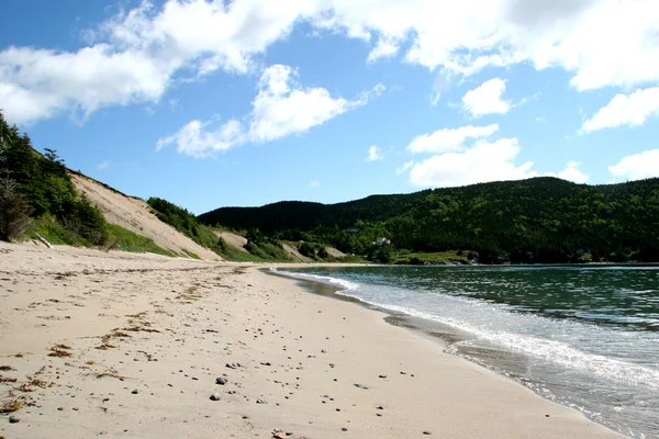 Sandy Beach in Rural Newfoundland — Stock Photo, Image