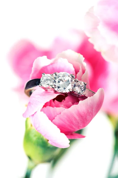 Розовый цветок с кольцом — стоковое фото