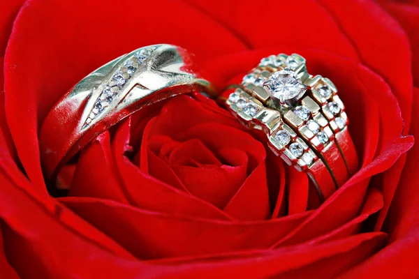 Ehering in Rose, wirst du mich heiraten? — Stockfoto
