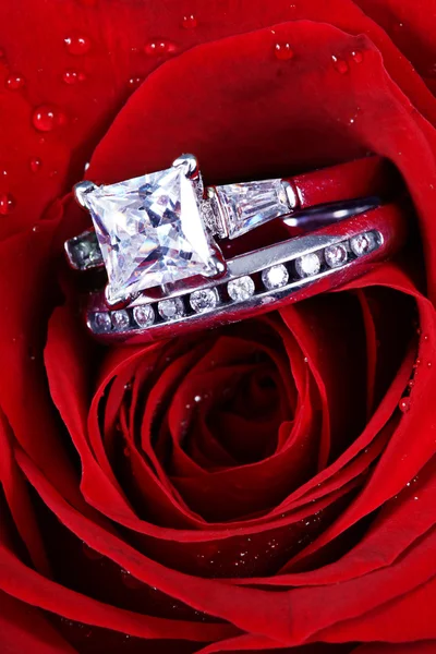 Snubní prsten v rose, chceš si mě vzít? — Stock fotografie