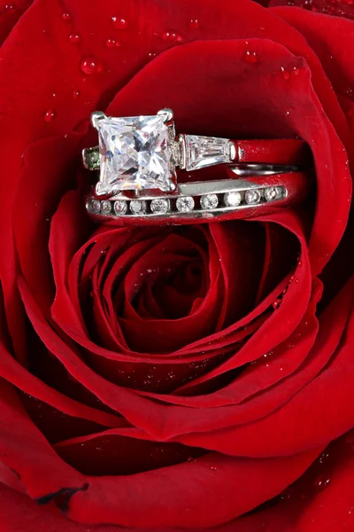 Свадебное кольцо в Розе, ты выйдешь за меня? ? — стоковое фото