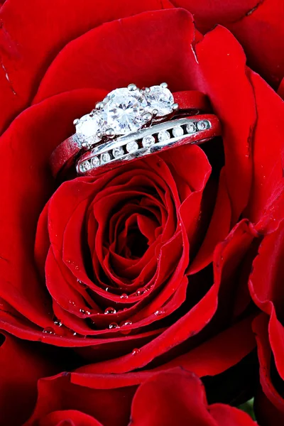 Ehering in Rose, wirst du mich heiraten? — Stockfoto