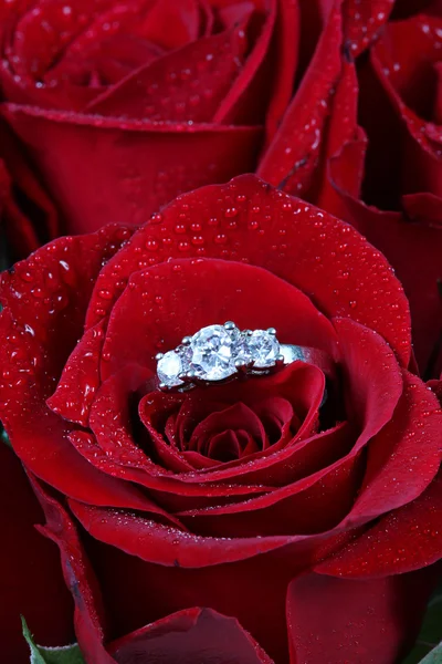 Свадебное кольцо в Розе, ты выйдешь за меня? ? — стоковое фото