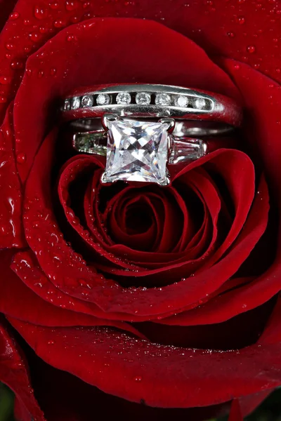 ローズの結婚指輪、結婚してくれません? — ストック写真