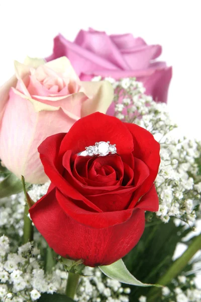 Wedding Ring in Rose, Will you marry me? Stock Image