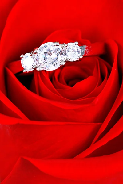 在玫瑰的结婚戒指，将你嫁给我? 免版税图库图片