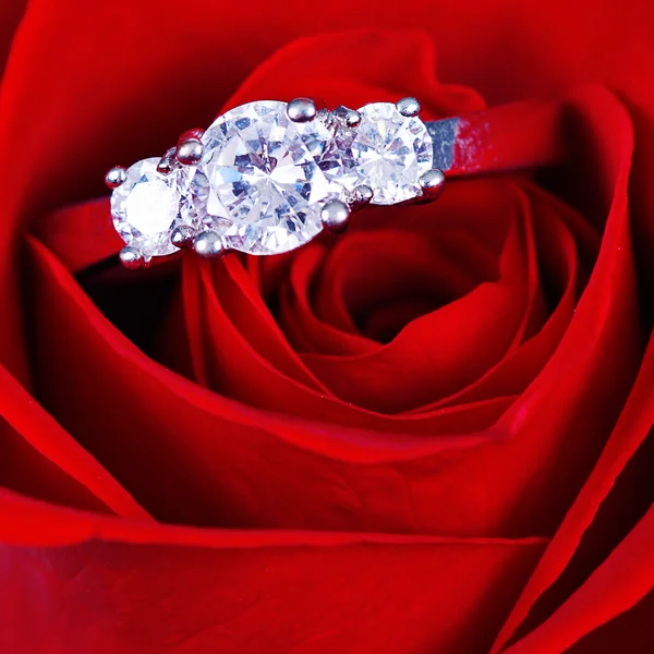 在玫瑰的结婚戒指，将你嫁给我? 图库照片