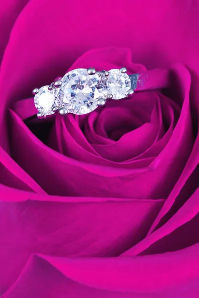 在玫瑰的结婚戒指，将你嫁给我? 免版税图库照片