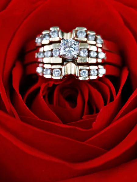 在玫瑰的结婚戒指，将你嫁给我? 免版税图库照片