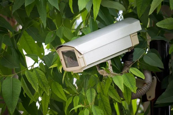 Telecamera di sorveglianza — Foto Stock