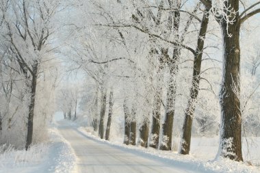 Winter lane clipart