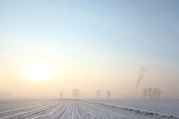 Rural landscape in frosty sunny morning — Stock Photo, Image