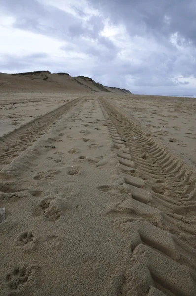 Большие следы шин на пустом пляже — стоковое фото
