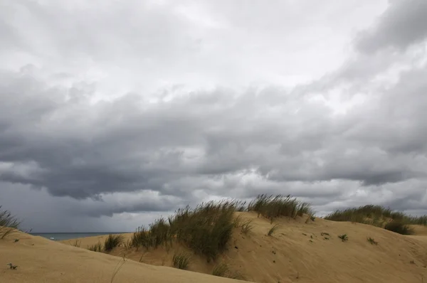 Очень облачный день на пляже — стоковое фото
