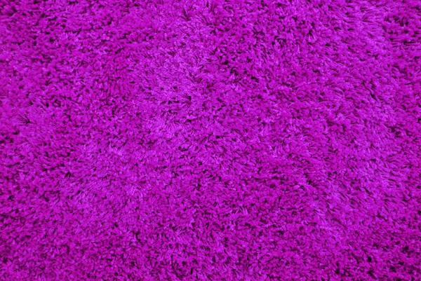 Фиолетовый ковер — стоковое фото