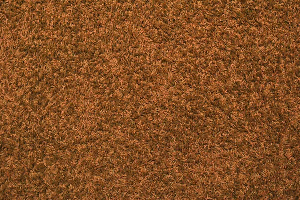 갈색 양탄자 — 스톡 사진