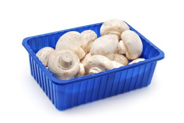 Champignon mushrooms clipart