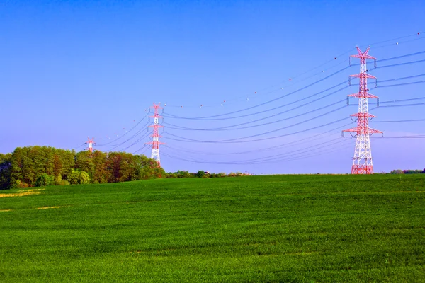 Летний пейзаж с электрическими столбами — стоковое фото