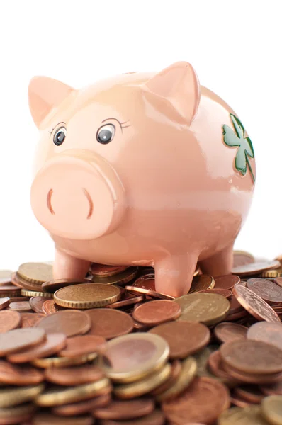 stock image Piggy Bank