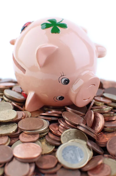 stock image Piggy Bank