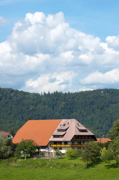 Hus i Schwarzwald- — Stockfoto