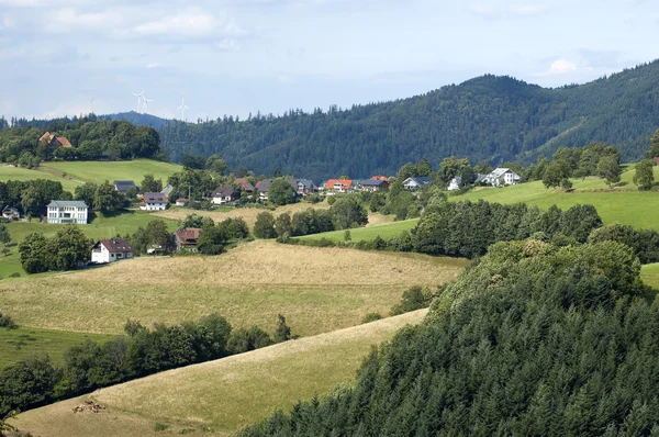 Landskap i Schwarzwald- — Stockfoto