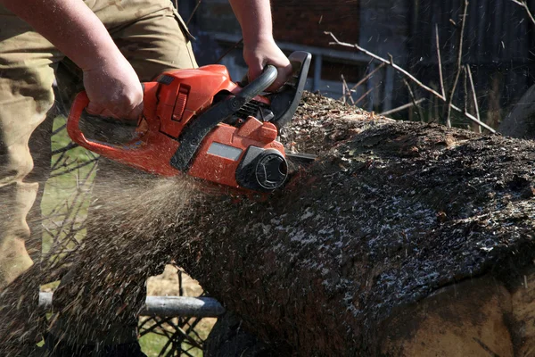 Mann schneidet umgestürzten Baum in Baumstämme — Stockfoto
