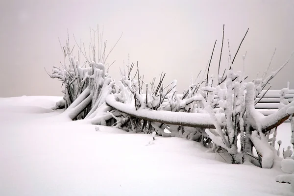 Kış minimalizm. — Stok fotoğraf