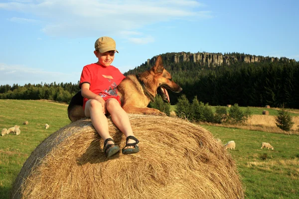 เด็กชายวัยรุ่นกับสุนัขบนทุ่งหญ้าตอนพระอาทิตย์ตกในช่วงวันหยุดฤดูร้อน — ภาพถ่ายสต็อก