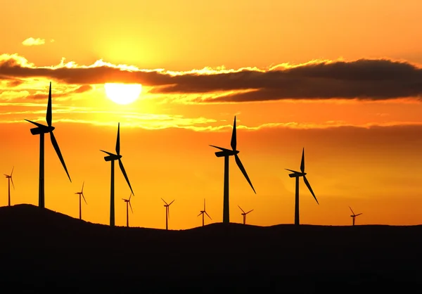 Silhueta de parque de turbinas eólicas durante o pôr do sol — Fotografia de Stock