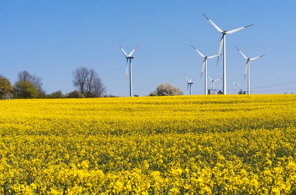 Windmill farm in the rapeseed field — Stock Photo, Image